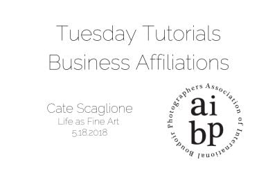 Cate Scaglione: Business Affiliations
