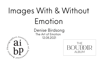 Denise Birdsong: Images With & Without Emotion
