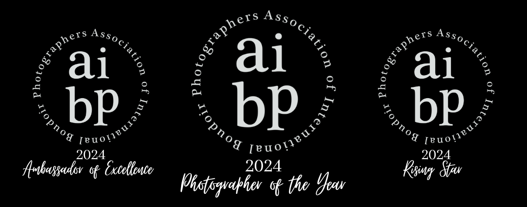 AIBP Awards of Excellence 2024