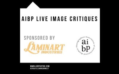 Image Critiques